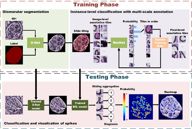 Figure 4 for MSA-MIL: A deep residual multiple instance learning model based on multi-scale annotation for classification and visualization of glomerular spikes