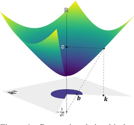 Figure 1 for Hyperbolic Neural Networks++