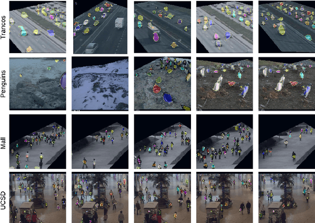 Figure 4 for LOOC: Localize Overlapping Objects with Count Supervision