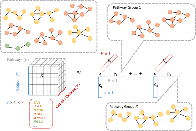Figure 3 for PANTHER: Pathway Augmented Nonnegative Tensor factorization for HighER-order feature learning