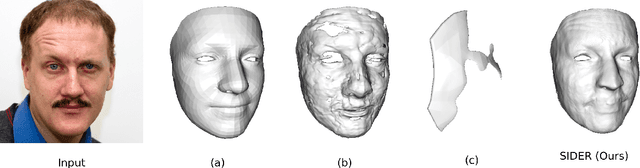 Figure 4 for SIDER: Single-Image Neural Optimization for Facial Geometric Detail Recovery