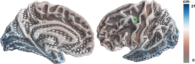 Figure 1 for Multi-subject MEG/EEG source imaging with sparse multi-task regression