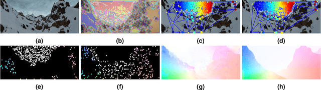 Figure 1 for Motion Estimation for Large Displacements and Deformations