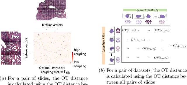 Figure 1 for Hierarchical Optimal Transport for Comparing Histopathology Datasets