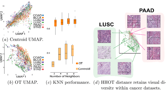 Figure 3 for Hierarchical Optimal Transport for Comparing Histopathology Datasets