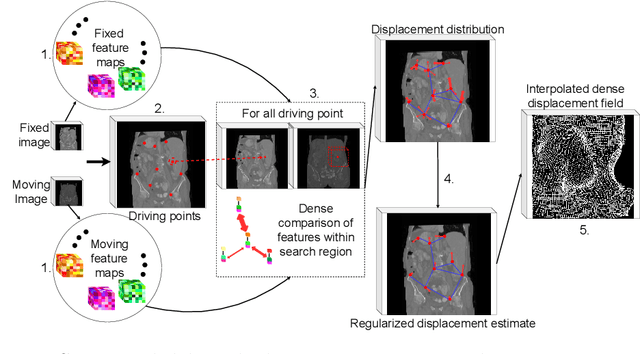 Figure 1 for Driving Points Prediction For Abdominal Probabilistic Registration