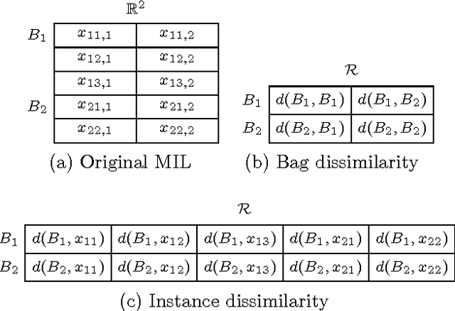 Figure 1 for Multiple Instance Learning with Bag Dissimilarities