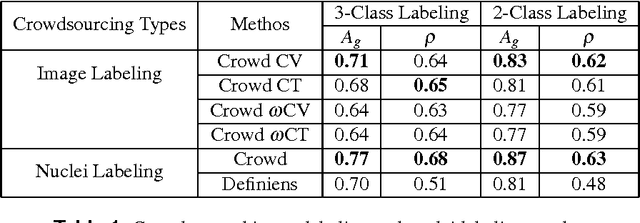 Figure 2 for Crowdsourcing scoring of immunohistochemistry images: Evaluating Performance of the Crowd and an Automated Computational Method