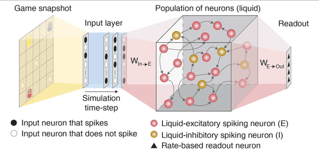 Figure 1 for Reinforcement Learning with Low-Complexity Liquid State Machines