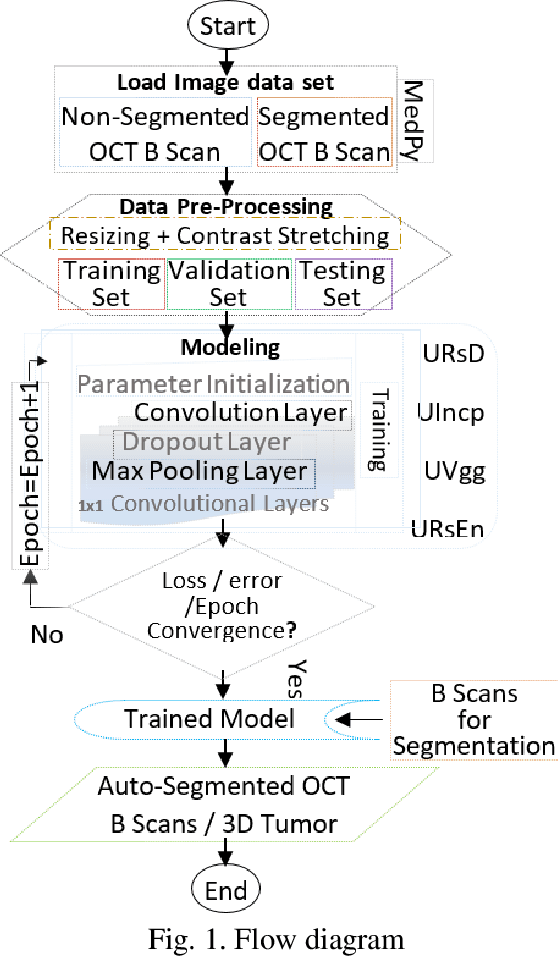Figure 1 for Deep Learning models for benign and malign Ocular Tumor Growth Estimation