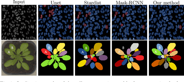 Figure 4 for Instance Segmentation of Biomedical Images with an Object-aware Embedding Learned with Local Constraints