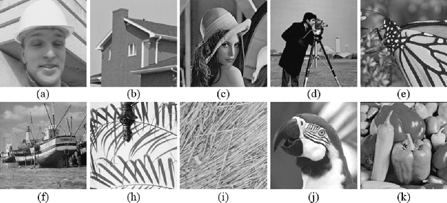 Figure 2 for Weighted Encoding Based Image Interpolation With Nonlocal Linear Regression Model
