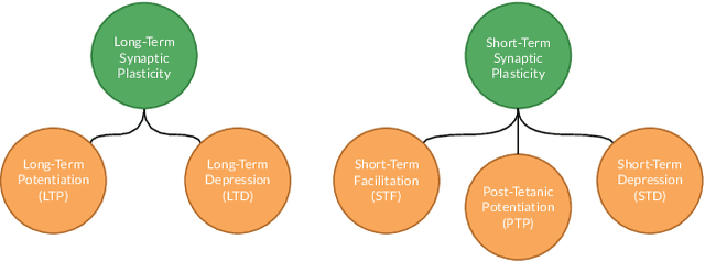 Figure 2 for A Review on Plastic Artificial Neural Networks: Exploring the Intersection between Neural Architecture Search and Continual Learning