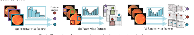 Figure 3 for Unsupervised Local Discrimination for Medical Images