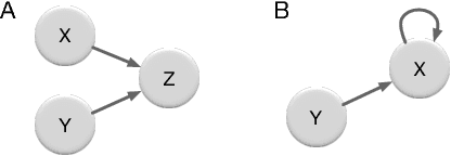 Figure 1 for Can Transfer Entropy Infer Causality in Neuronal Circuits for Cognitive Processing?