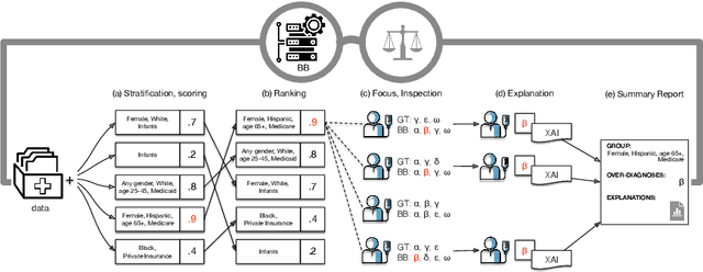 Figure 1 for FairLens: Auditing Black-box Clinical Decision Support Systems