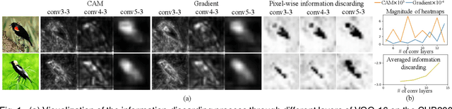 Figure 1 for Quantifying the Knowledge in a DNN to Explain Knowledge Distillation for Classification