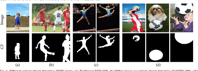 Figure 1 for Re-thinking Co-Salient Object Detection