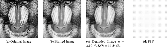 Figure 3 for Image restoration using sparse approximations of spatially varying blur operators in the wavelet domain