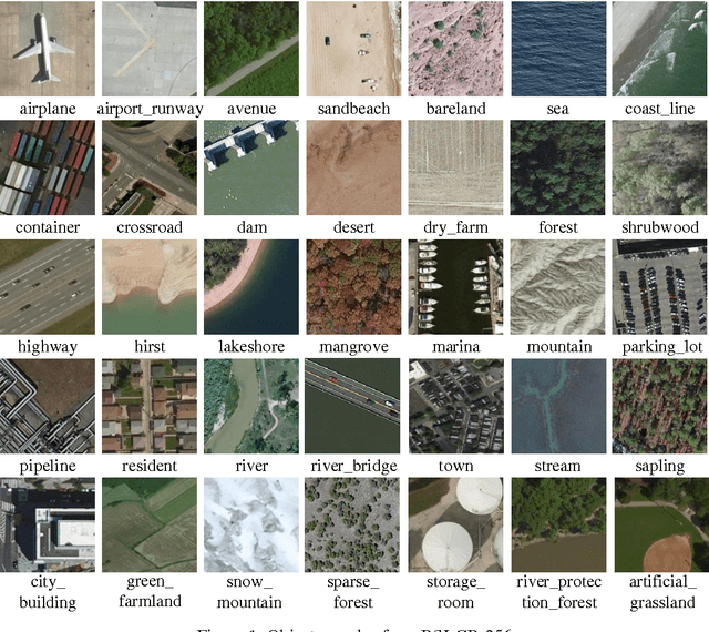 Figure 1 for On the Selective and Invariant Representation of DCNN for High-Resolution Remote Sensing Image Recognition