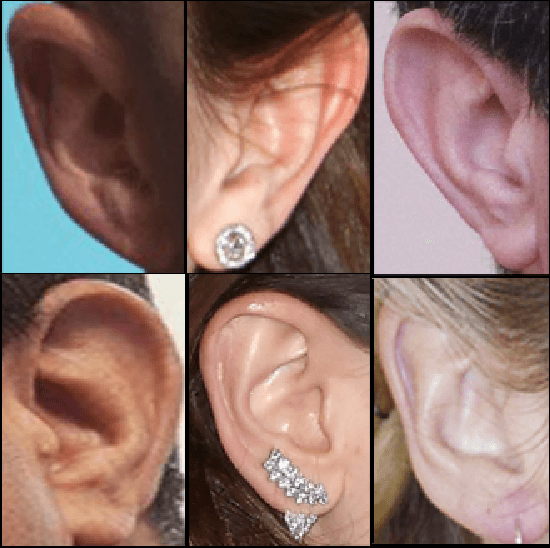 Figure 1 for Domain Adaptation for Ear Recognition Using Deep Convolutional Neural Networks