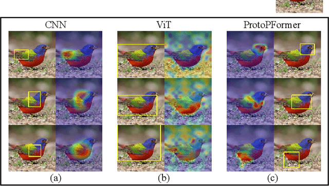 Figure 1 for ProtoPFormer: Concentrating on Prototypical Parts in Vision Transformers for Interpretable Image Recognition