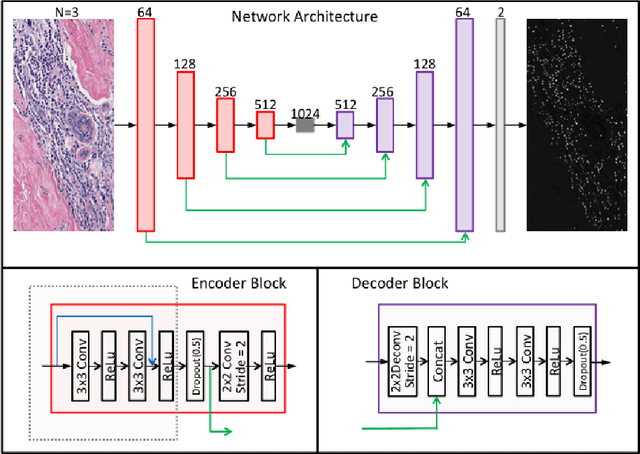 Figure 1 for Automatic Lymphocyte Detection in H&E Images with Deep Neural Networks