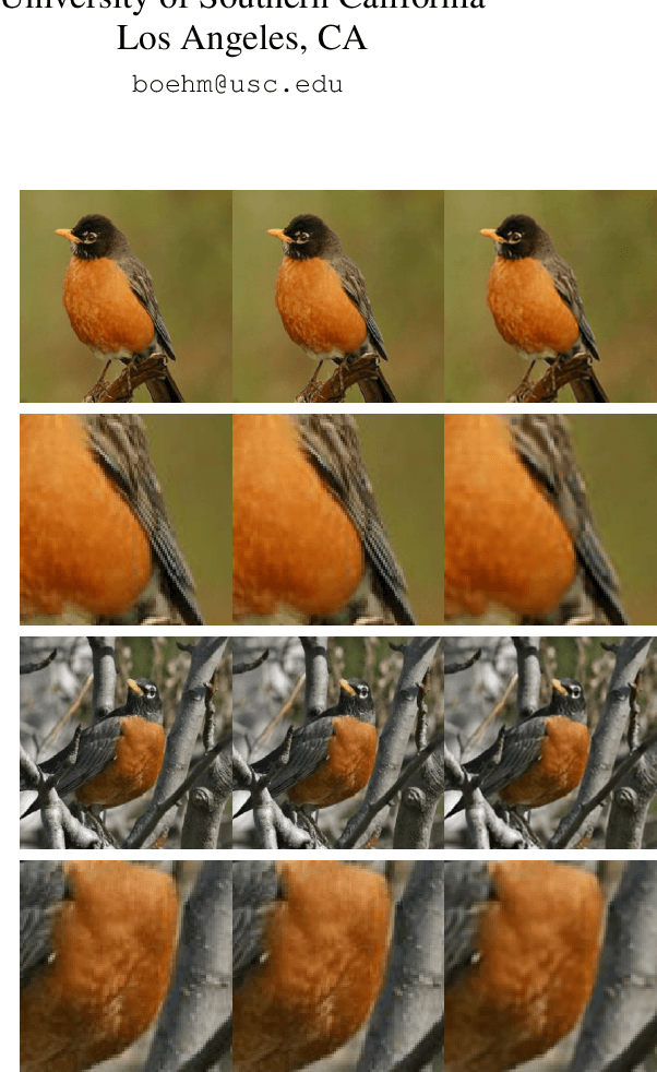 Figure 1 for Implicit Feature Decoupling with Depthwise Quantization