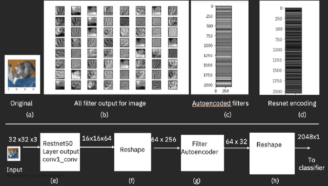 Figure 3 for Spatially-Preserving Flattening for Location-Aware Classification of Findings in Chest X-Rays