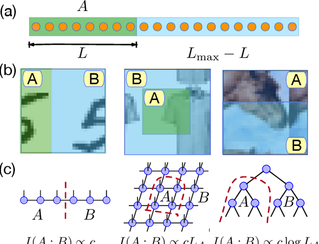 Figure 1 for Tensor networks and efficient descriptions of classical data