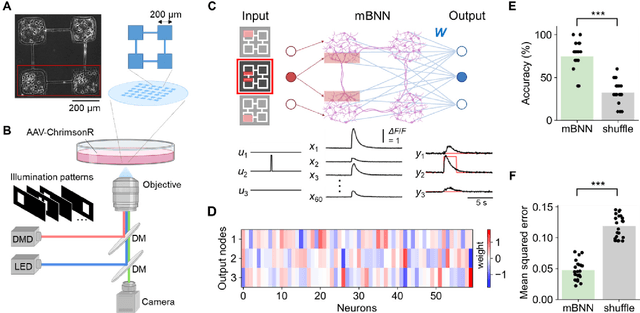 Figure 1 for Biological neurons act as generalization filters in reservoir computing