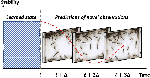 Figure 1 for Identification of Abnormal States in Videos of Ants Undergoing Social Phase Change
