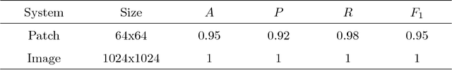 Figure 3 for A Convolutional Neural Network for the Automatic Diagnosis of Collagen VI related Muscular Dystrophies