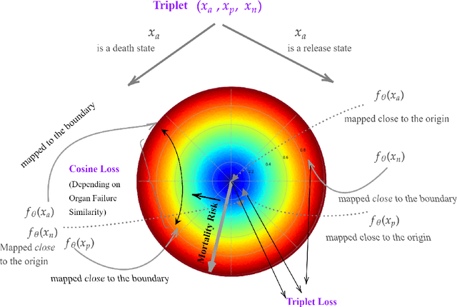 Figure 1 for Deep Normed Embeddings for Patient Representation