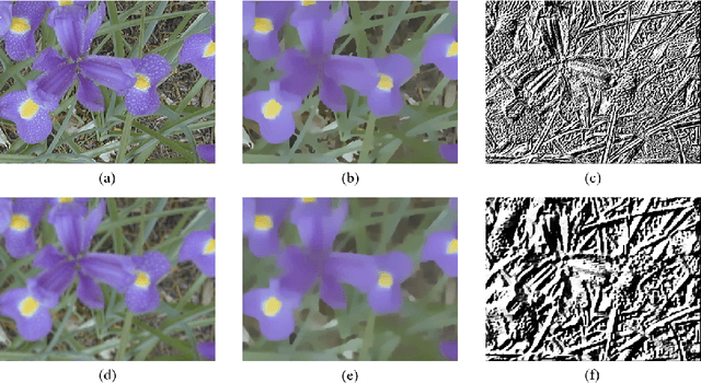 Figure 3 for Blind Quality Assessment for Image Superresolution Using Deep Two-Stream Convolutional Networks