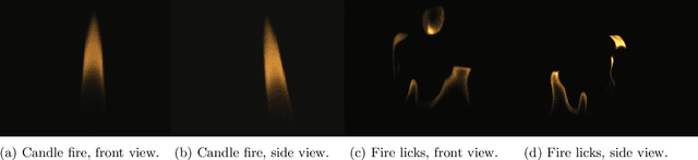 Figure 3 for Physics-driven Fire Modeling from Multi-view Images