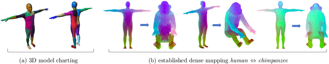 Figure 2 for Transferring Dense Pose to Proximal Animal Classes