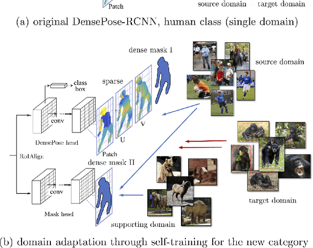 Figure 4 for Transferring Dense Pose to Proximal Animal Classes