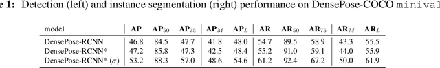 Figure 3 for Transferring Dense Pose to Proximal Animal Classes