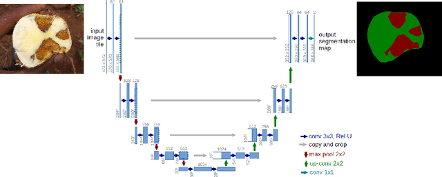 Figure 4 for Scoring Root Necrosis in Cassava Using Semantic Segmentation