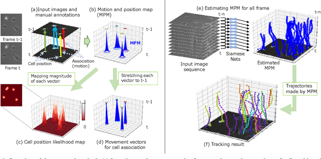 Figure 1 for MPM: Joint Representation of Motion and Position Map for Cell Tracking