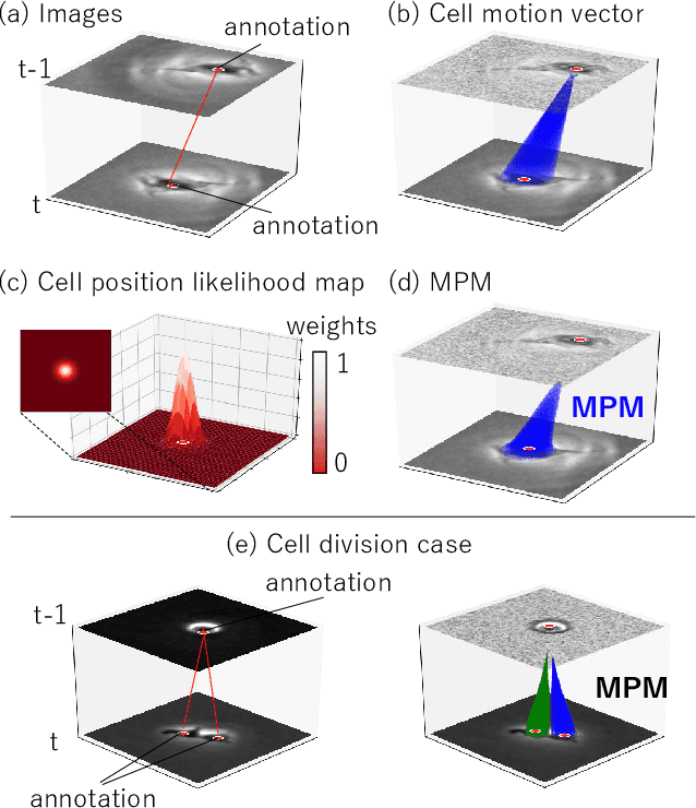 Figure 3 for MPM: Joint Representation of Motion and Position Map for Cell Tracking