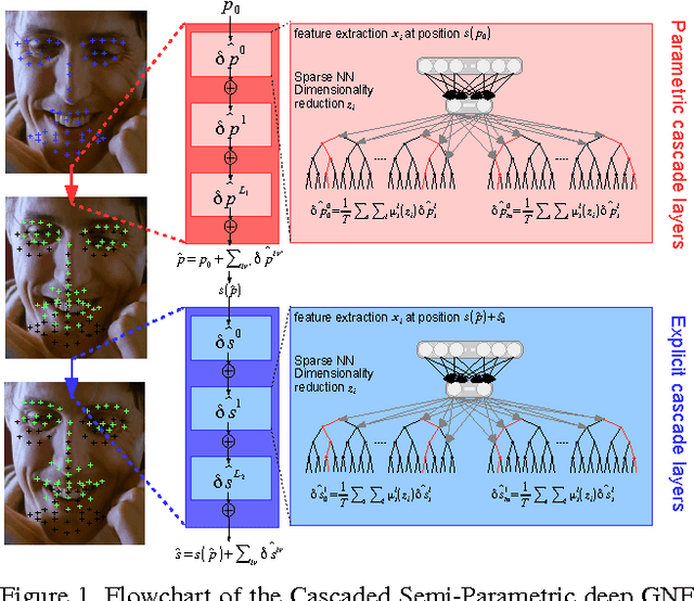 Figure 1 for Face Alignment with Cascaded Semi-Parametric Deep Greedy Neural Forests
