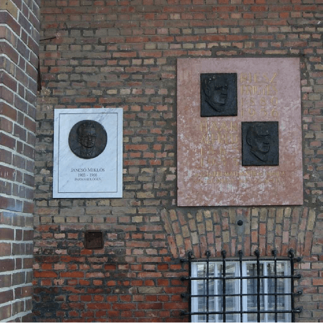 Figure 2 for A Panorama on Multiscale Geometric Representations, Intertwining Spatial, Directional and Frequency Selectivity