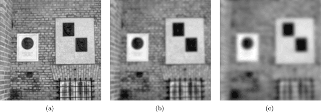 Figure 4 for A Panorama on Multiscale Geometric Representations, Intertwining Spatial, Directional and Frequency Selectivity