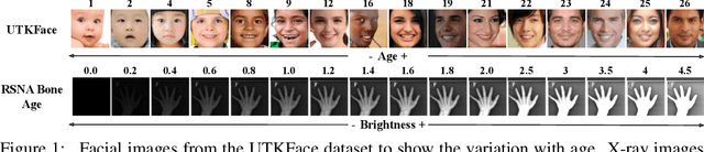 Figure 1 for Natural Attribute-based Shift Detection