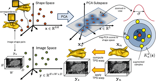 Figure 3 for Uncertain-DeepSSM: From Images to Probabilistic Shape Models