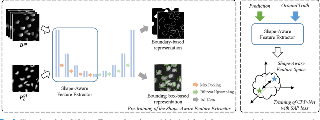Figure 3 for CPP-Net: Context-aware Polygon Proposal Network for Nucleus Segmentation