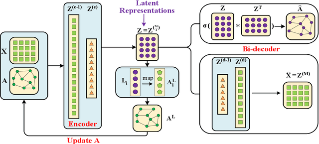 Figure 1 for Graph Convolutional Auto-encoder with Bi-decoder and Adaptive-sharing Adjacency
