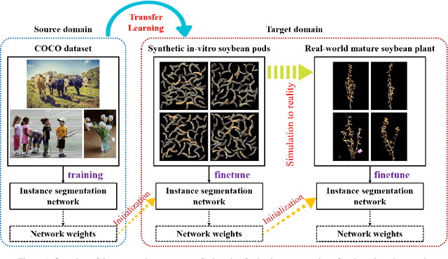 Figure 1 for Transfer Learning from Synthetic In-vitro Soybean Pods Dataset for In-situ Segmentation of On-branch Soybean Pod